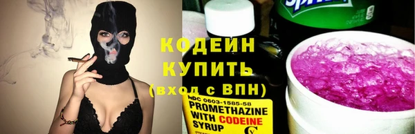 индика Балабаново